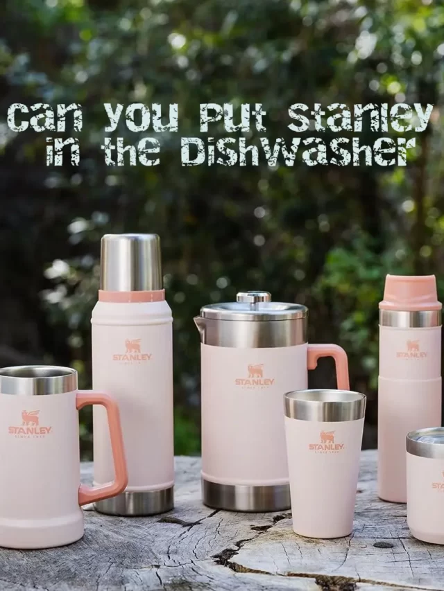 Can You Put Stanley in the Dishwasher