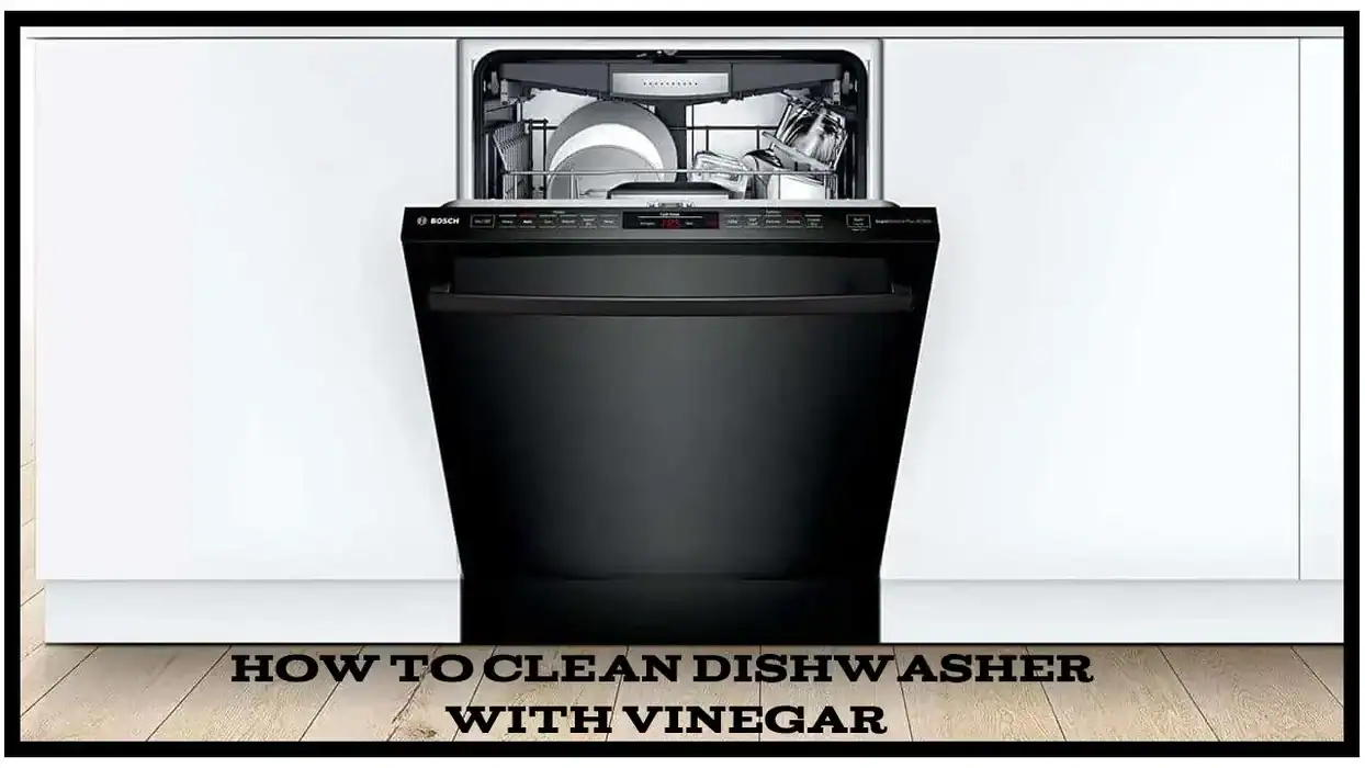 How to clean dishwasher